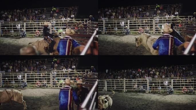 慢动作拍摄了一名公牛骑手参加公牛比赛的镜头，然后在晚上被人从体育场的公牛背上扔出
