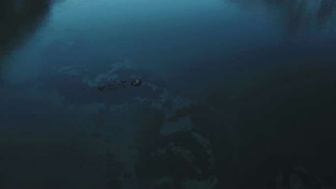空中无人机视图: 挪威的海洋和峡湾