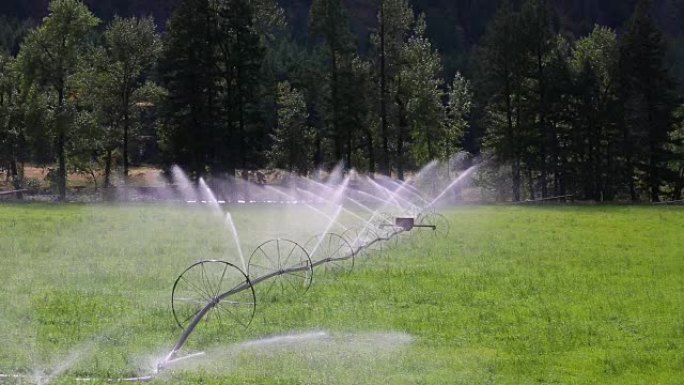 农业灌溉轮线洒水Okanagan山谷Similkameen