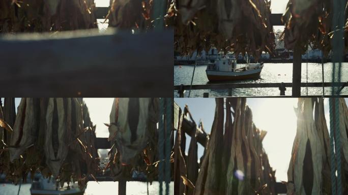 挪威罗弗滕群岛Reine的鱼类产业