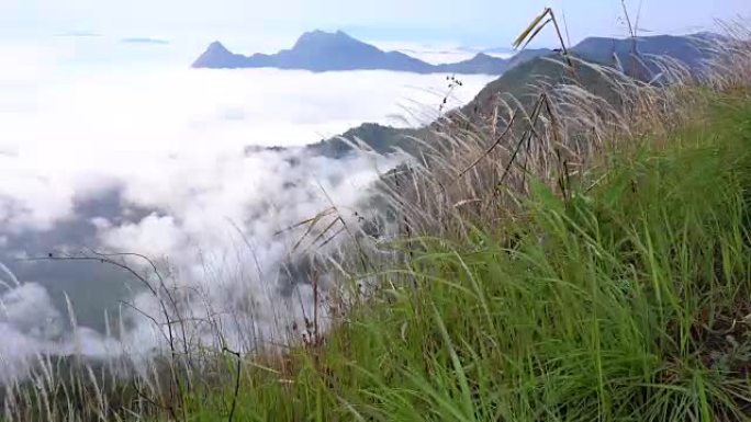 泰国富芝法热带雨林中的薄雾和雾。山脉和丛林中的高度湿度。