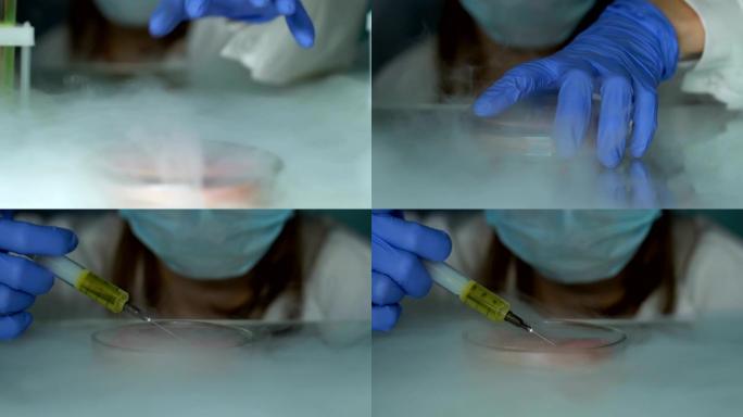 实验室科学家将液体注入肉类样品培养皿，转基因研究