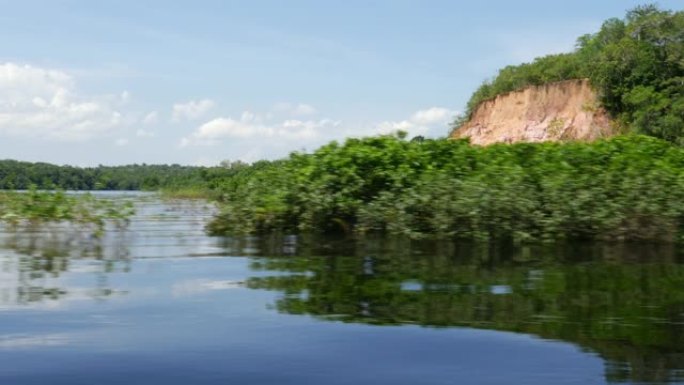 追踪亚马逊湿地的照片