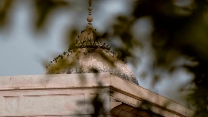 许多鸽子正坐在红堡领土上神庙的圆顶上