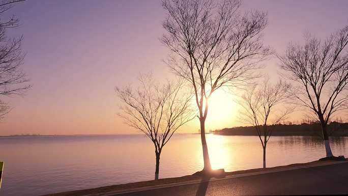 驱车行驶在湖泊边的夕阳日落风光