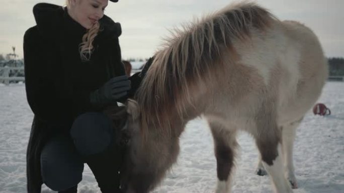 年轻美丽的女人在牧场特写镜头中抚摸着可爱的小马驹