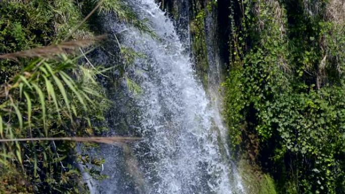 在绿树丛中的山上有一个美丽的瀑布