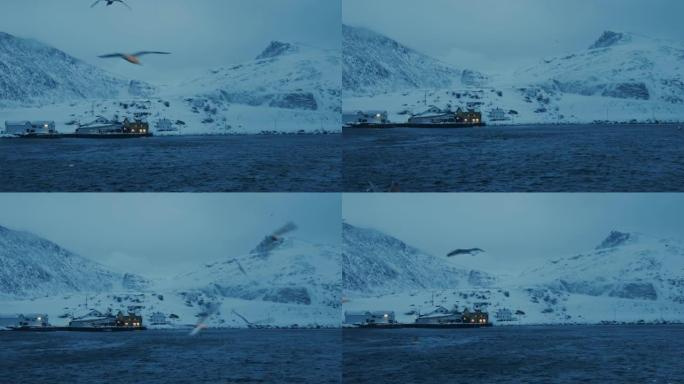 在北极海捕捞鳕鱼海鸟房屋清晨