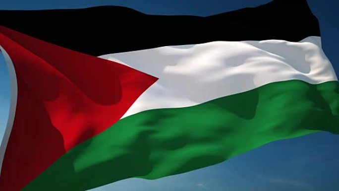 4K巴勒斯坦旗-可循环