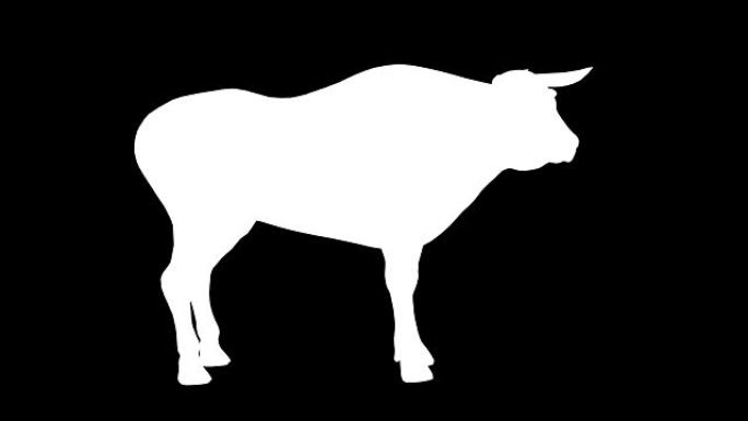 公牛闲置轮廓 (可循环)