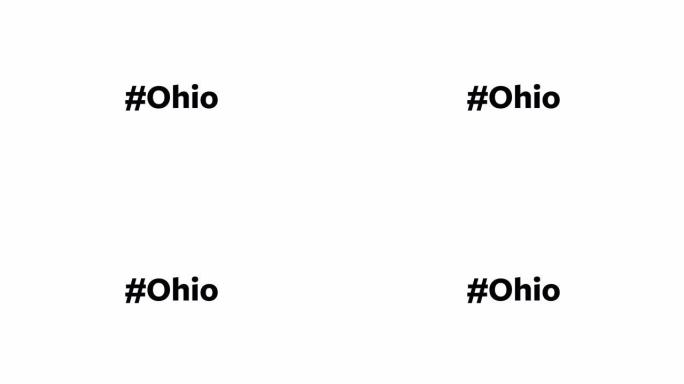 一个人在他们的电脑屏幕上输入 “# Ohio”