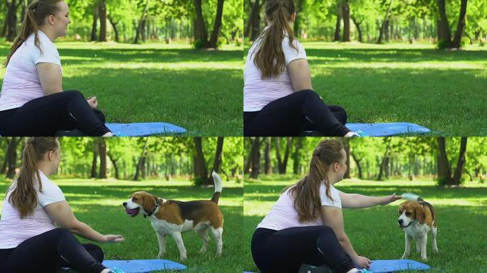 胖乎乎的女孩在瑜伽训练休息和娱乐中与可爱的狗玩耍