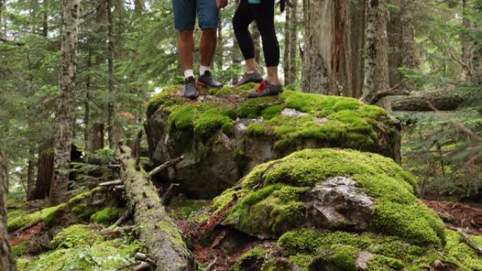 徒步旅行夫妇探索古老的雪松和冷杉温带雨林