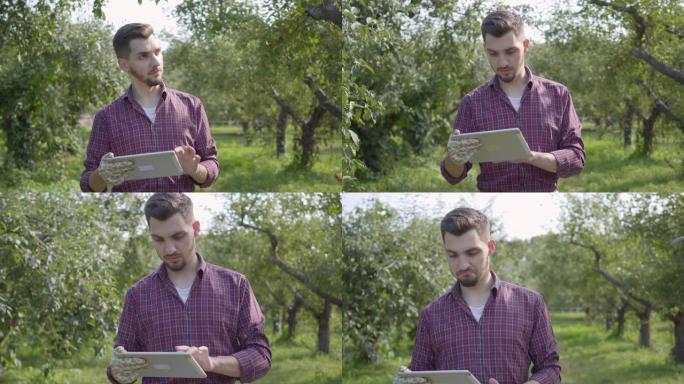 年轻自信的大胡子农民走过花园，在平板电脑上打字，环顾四周。