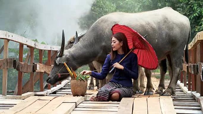 穿着泰国传统服装坐在木桥上的亚洲女子肖像，背景是水牛