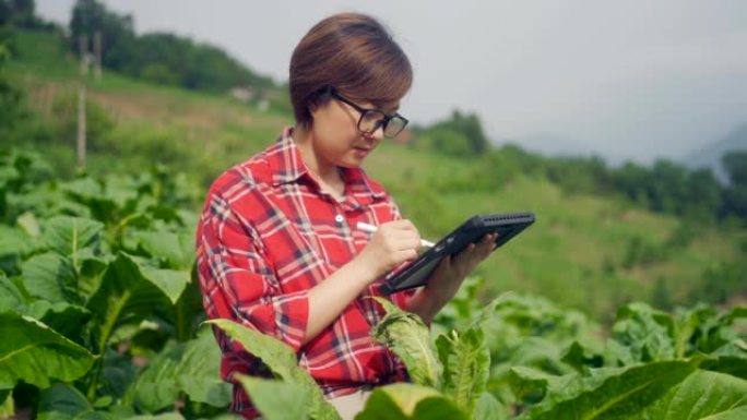 农民在农场使用数字平板电脑
