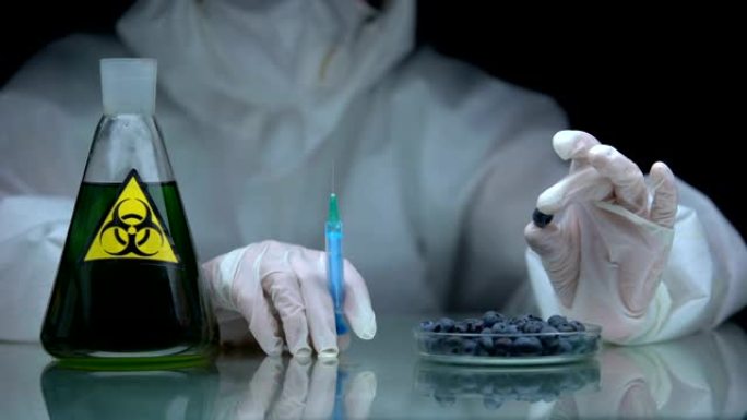 带有注射器和蓝莓的生物学家，桌上装有生物危害液体的烧瓶