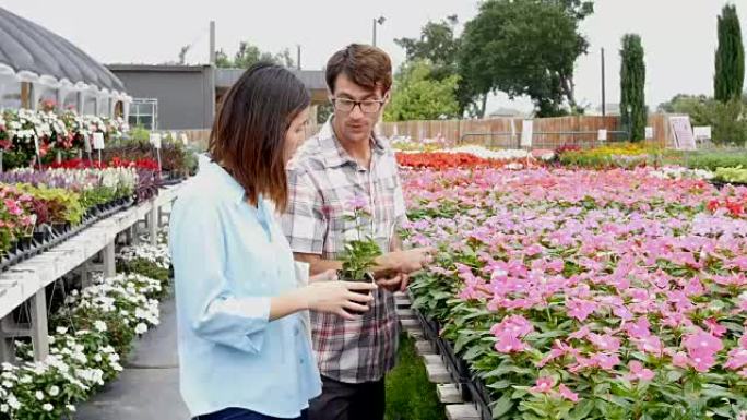 美丽的亚洲妇女在植物苗圃里卖花