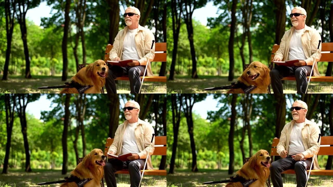 开朗的盲人读书，抚摸辅助犬，享受生活的能力