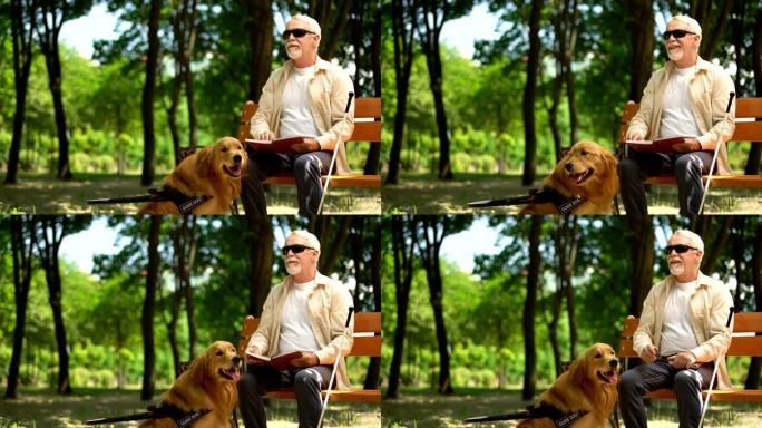 开朗的盲人读书，抚摸辅助犬，享受生活的能力