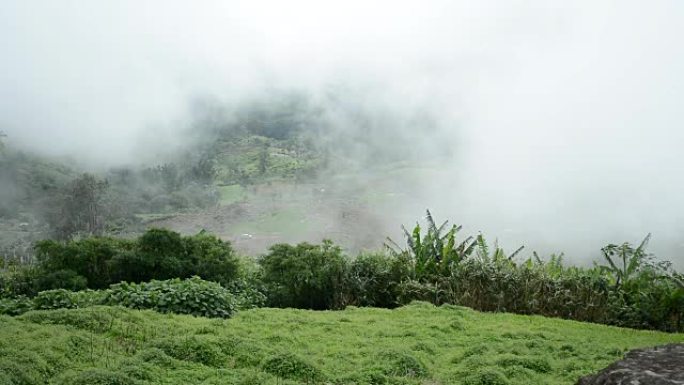 雾在泰国Phu Thap Book的高地上流动