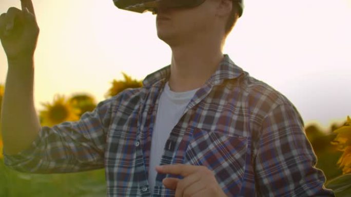 男性正在向日葵之间的VR眼镜中工作