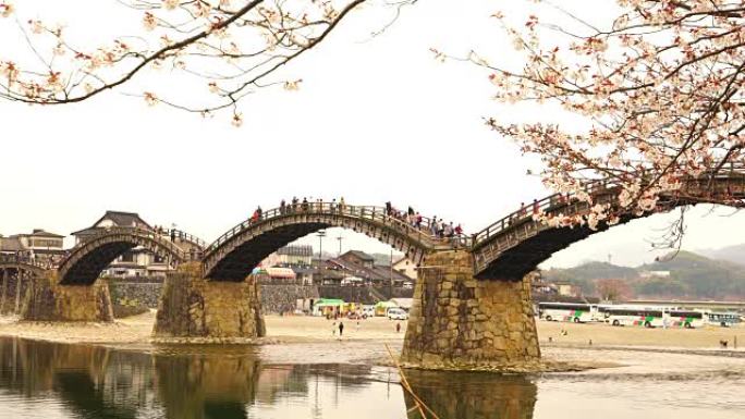 樱花盛开，金泰京桥是美利坚合众国的前成员。