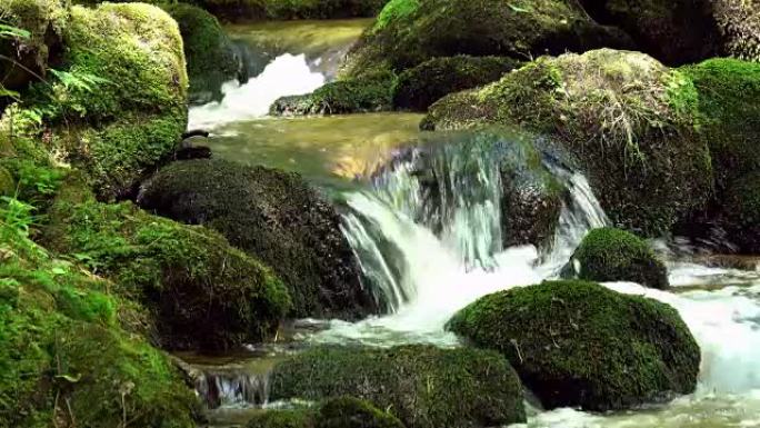 岩石上长满苔藓的美丽山溪