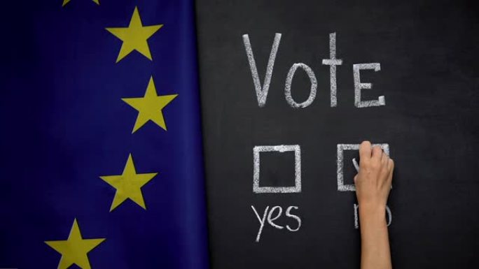 背景是欧盟旗帜，在投票中没有答案，是欧盟成员