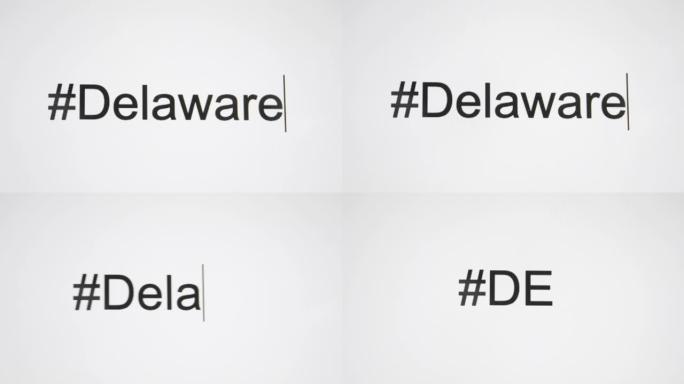 一个人在他们的计算机屏幕上键入 “# Delaware”，然后跟随状态缩写