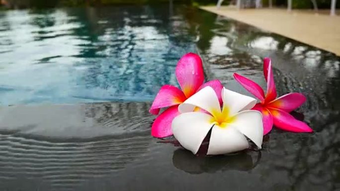 漂浮在泳池海滩休息室的花朵