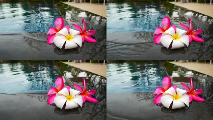 漂浮在泳池海滩休息室的花朵