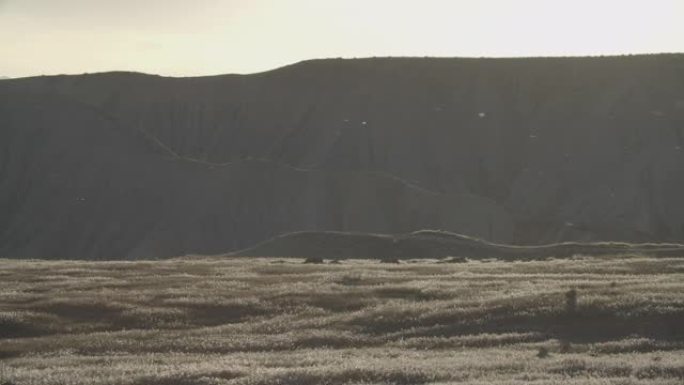 风将灰尘吹过科罗拉多州西部草丛，多山，高沙漠的景观