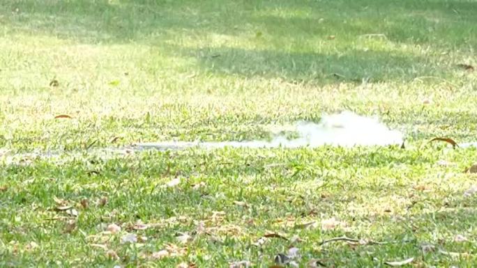 院子里漏水树荫光影盛夏草坪花园公园浇水