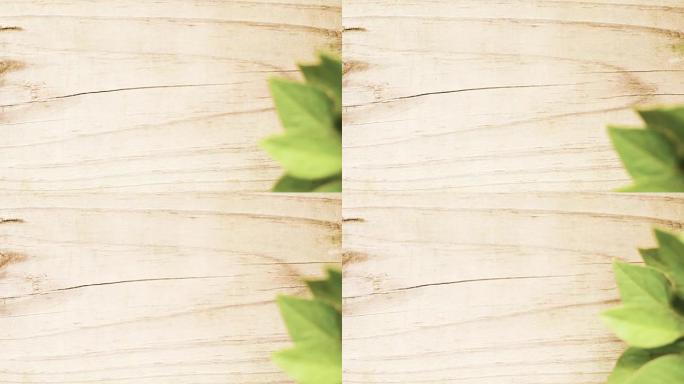 天然木篱笆板与绿色植物