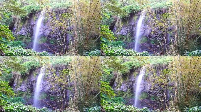瀑布安斯; 竹树-团圆岛