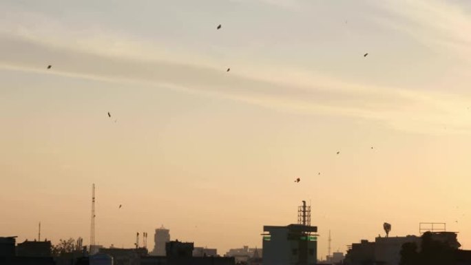 日出时风筝飞过城市屋顶