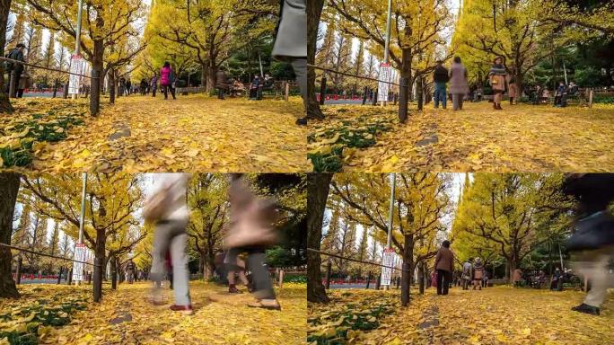 延时: 行人在日本东京青山明治神宫花园拥挤