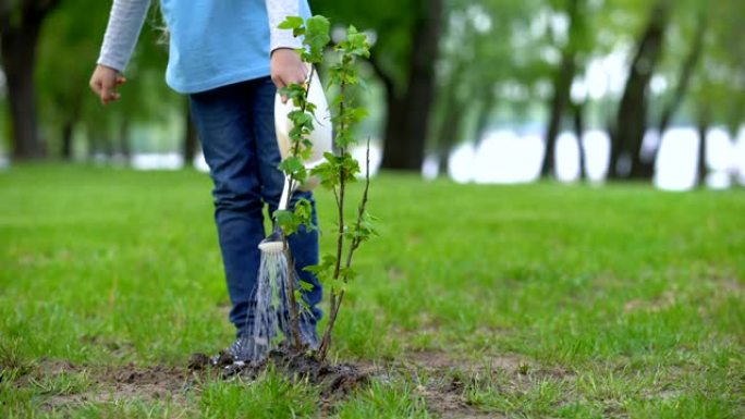 女小孩浇灌树苗林，自然资源保护，生态