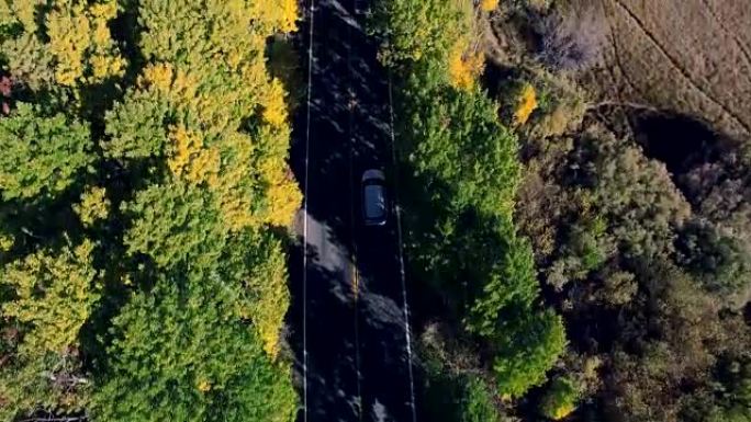 美丽的垂直俯视无人机在加州山区一条寂寞的道路上跟随一辆汽车拍摄，树木正在变色。
