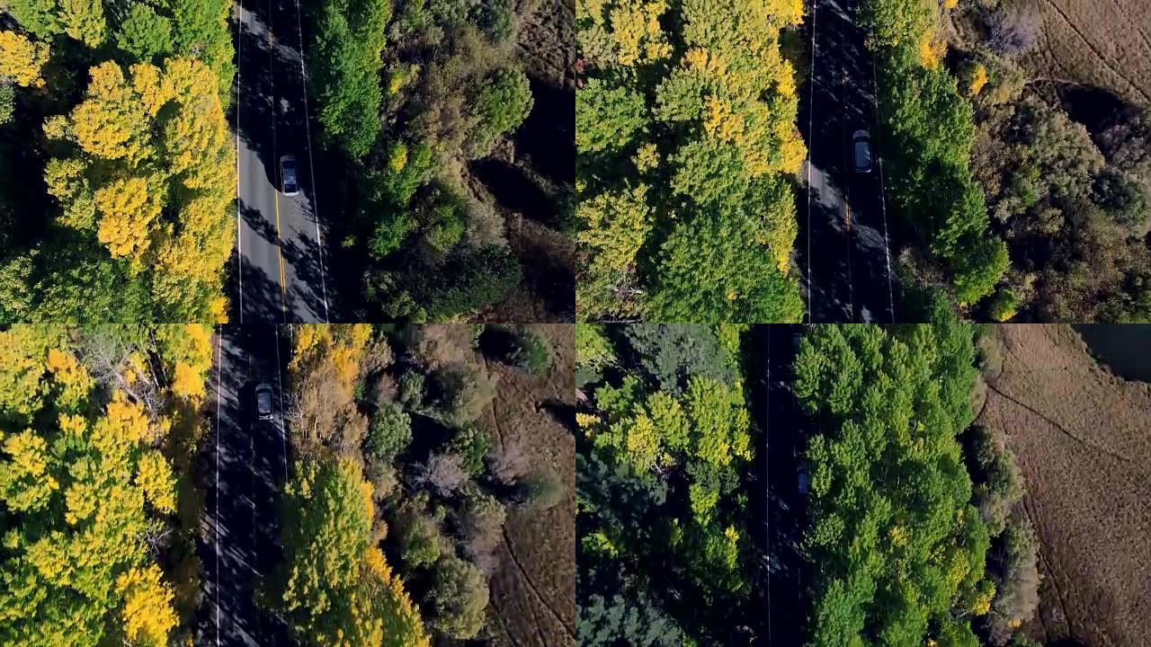 美丽的垂直俯视无人机在加州山区一条寂寞的道路上跟随一辆汽车拍摄，树木正在变色。