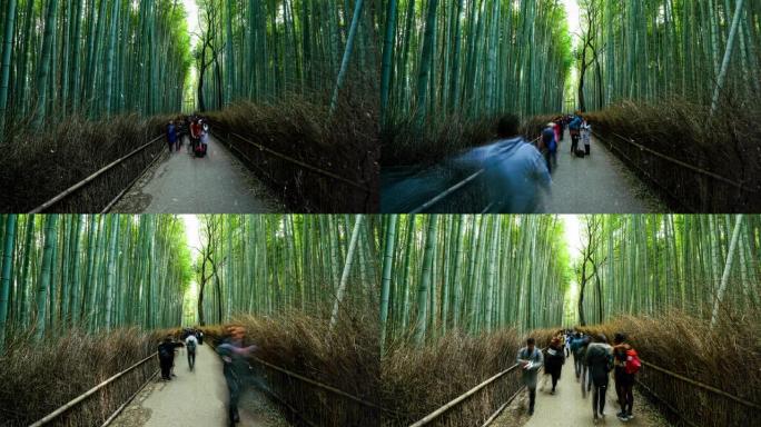 雨季的雨滴背景，日本京都竹园岚山竹林的延时游客漫步。