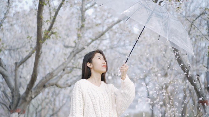 唯美樱花下的文艺女孩 花与美女 樱花清新