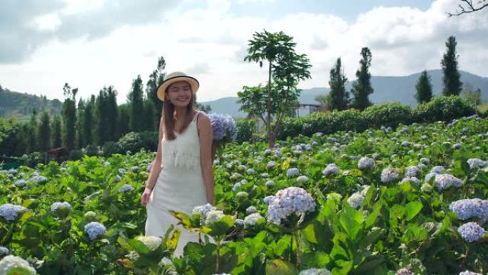 在泰国美女山上，游客去了绣球花场。新鲜空气，她很开心