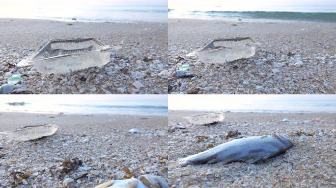 海洋中的塑料，环境污染