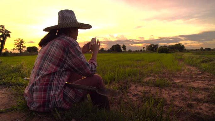 日落时坐在稻田里流动的亚洲女农民。
