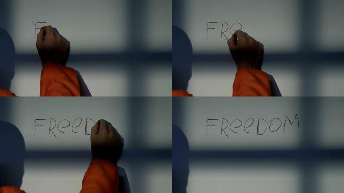 囚犯的手在牢房墙上写着自由的字样，希望得到特赦，任期