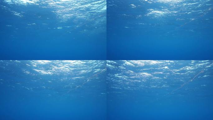 慢动作水下拍摄海洋中的绳索