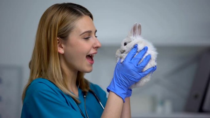 年轻的女兽医在动物医院玩兔子，关心和爱病人