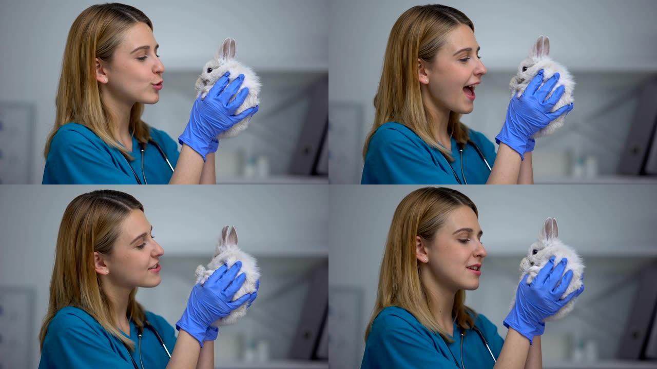 年轻的女兽医在动物医院玩兔子，关心和爱病人